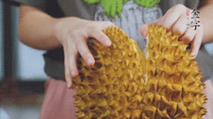 榴蓮剝好肉后，搗成泥狀。