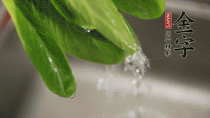 燒一鍋開水，滴一點(diǎn)油，水開后汆燙青菜至斷生即可。