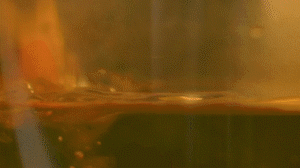 雞肉、鹽、料酒入冷水鍋水開后撇去浮沫，溫水洗凈。