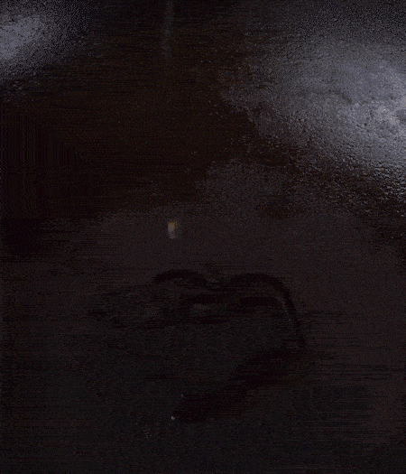 冷鍋熱油，下蒜片爆香，下香腸、玉米筍、蓮藕、西芹爆炒，期間加點(diǎn)水，翻炒1分鐘后加新鮮百合片，翻炒30秒。