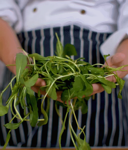 馬蘭頭焯水，切成細(xì)末。