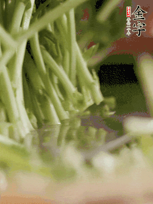 新鮮豌豆苗割下洗凈。